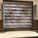 whatsapp image 2026 01 06 at 7.05.02 pm